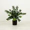 28" Artificial Zamioculcas Plant with Decorative Planter